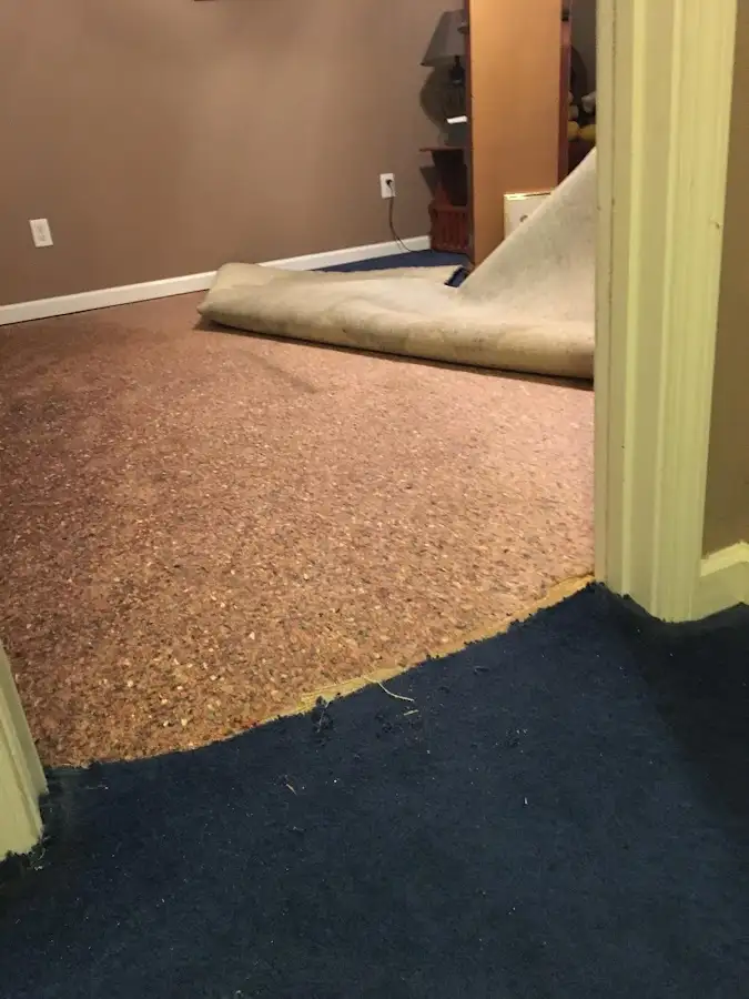 Carpet pad removal revealing water damage during Drying & Dehumidification in Riga