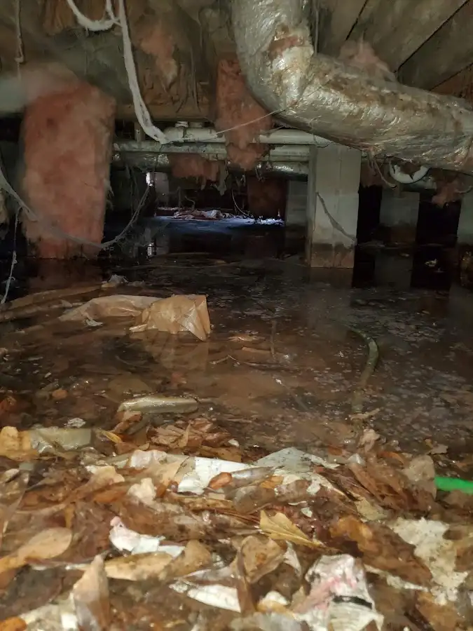 Crawl space flood assessment for Leak Detection & Repair in Riga